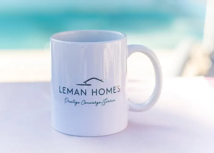 ヴィラ Du Leman トノン・レ・バン